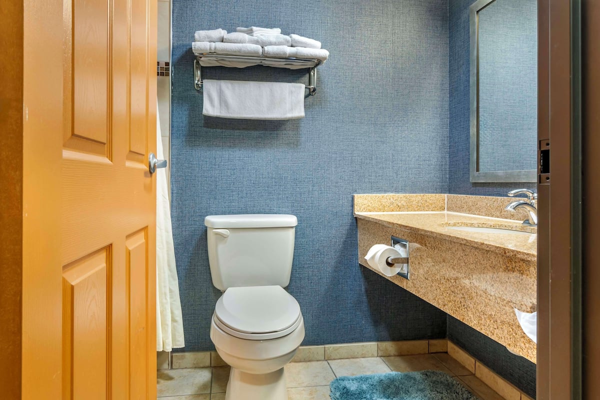 free toiletries, hair dryer, towels