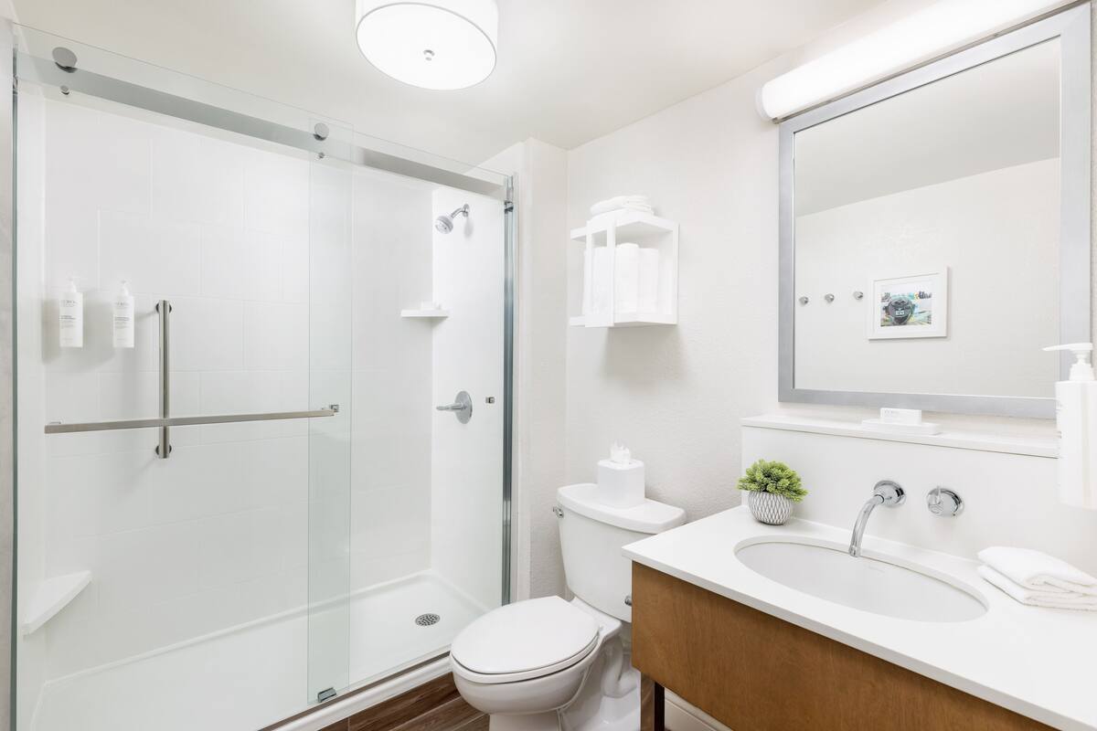 combined shower/bathtub, free toiletries, hair dryer, towels