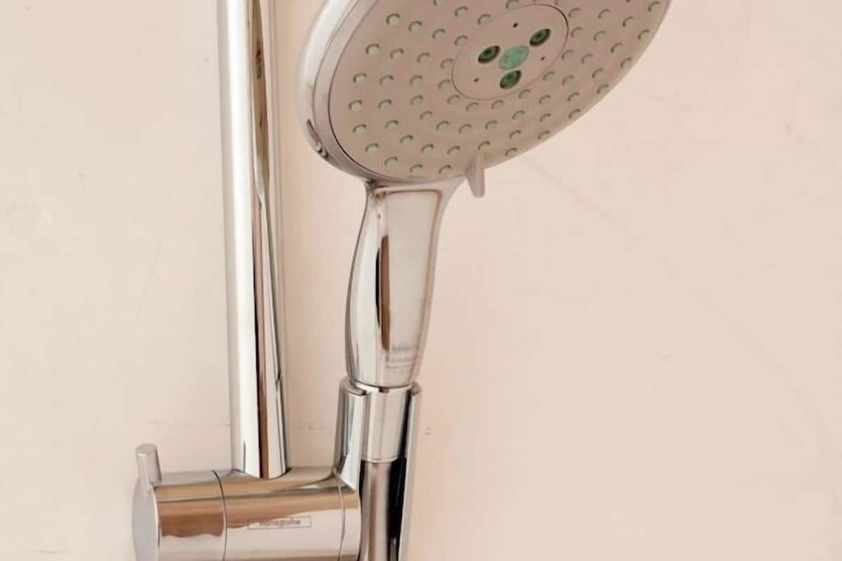 Hand-held showerhead