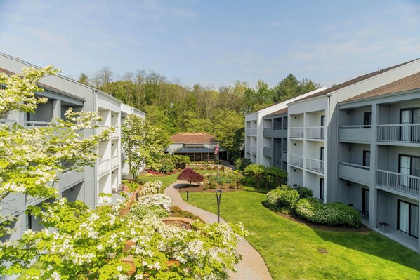 Servicio de la propiedad