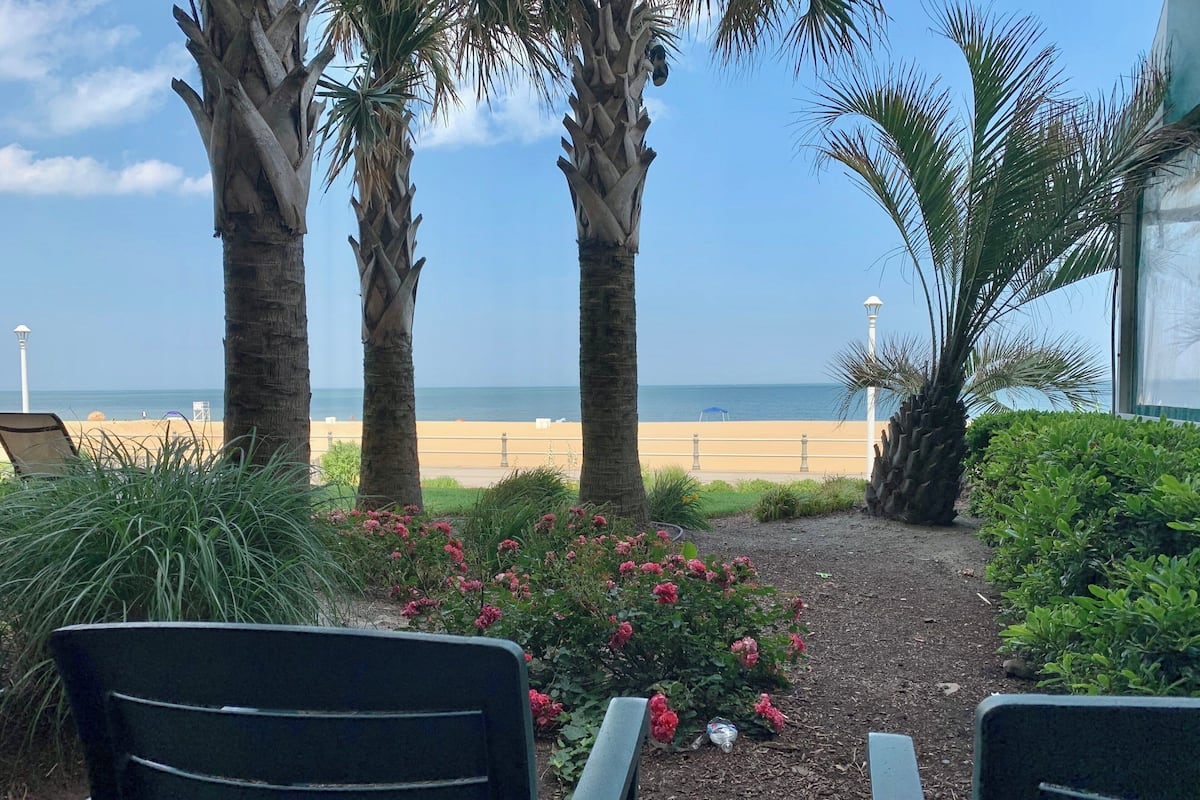A view of a beach with palm trees and a pathway leading to beach chairs.