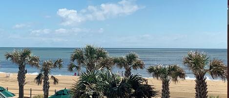 Une vue sur la plage, avec des palmiers et une clôture blanche.