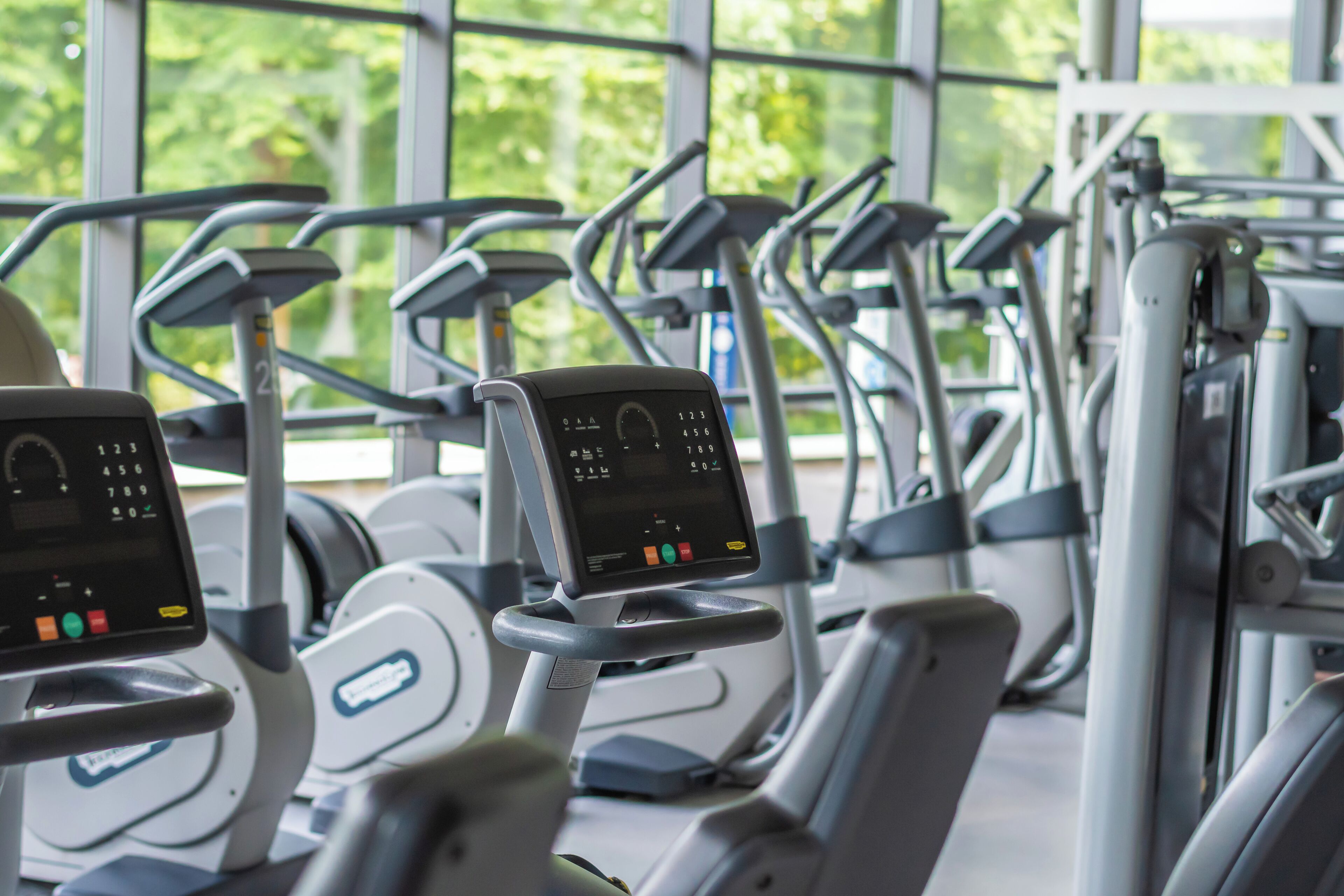 A row of stationary exercise bikes with digital displays, arranged in a gym with large windows.