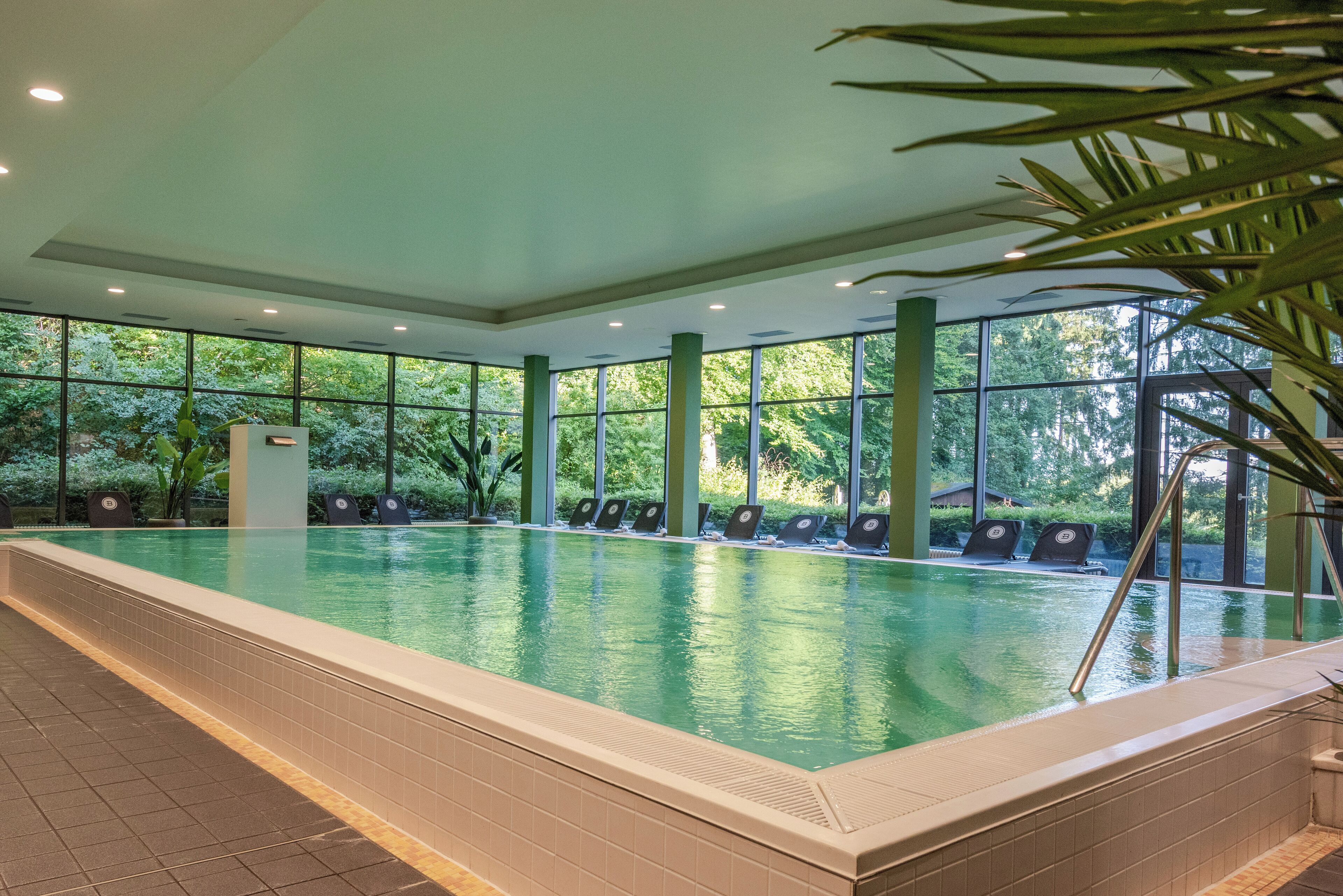 Alberca techada y camastros 