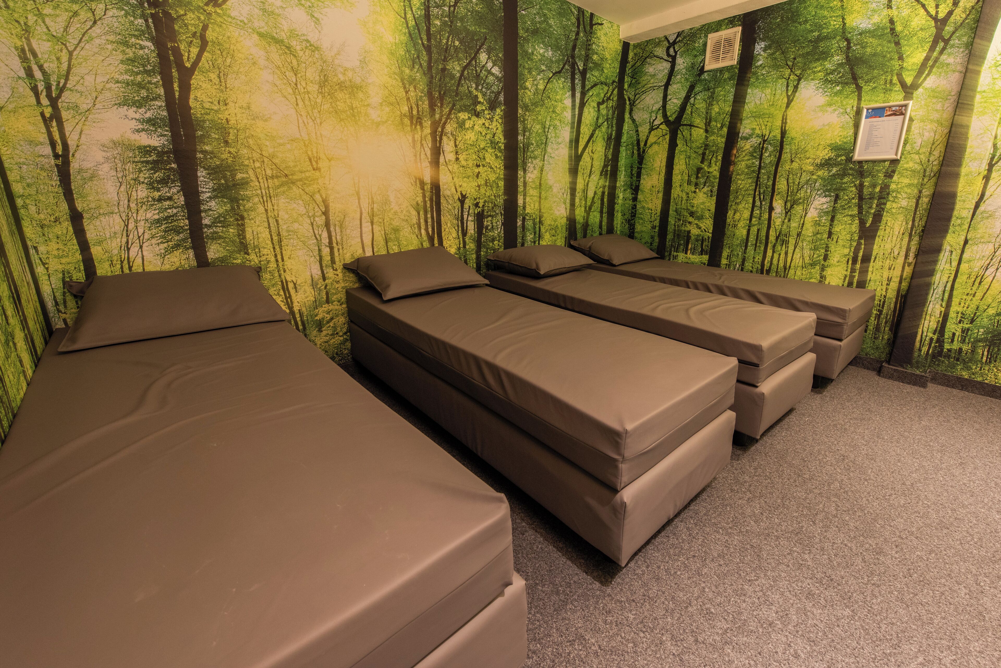 A room with four beds aligned against a wall with a forest mural.