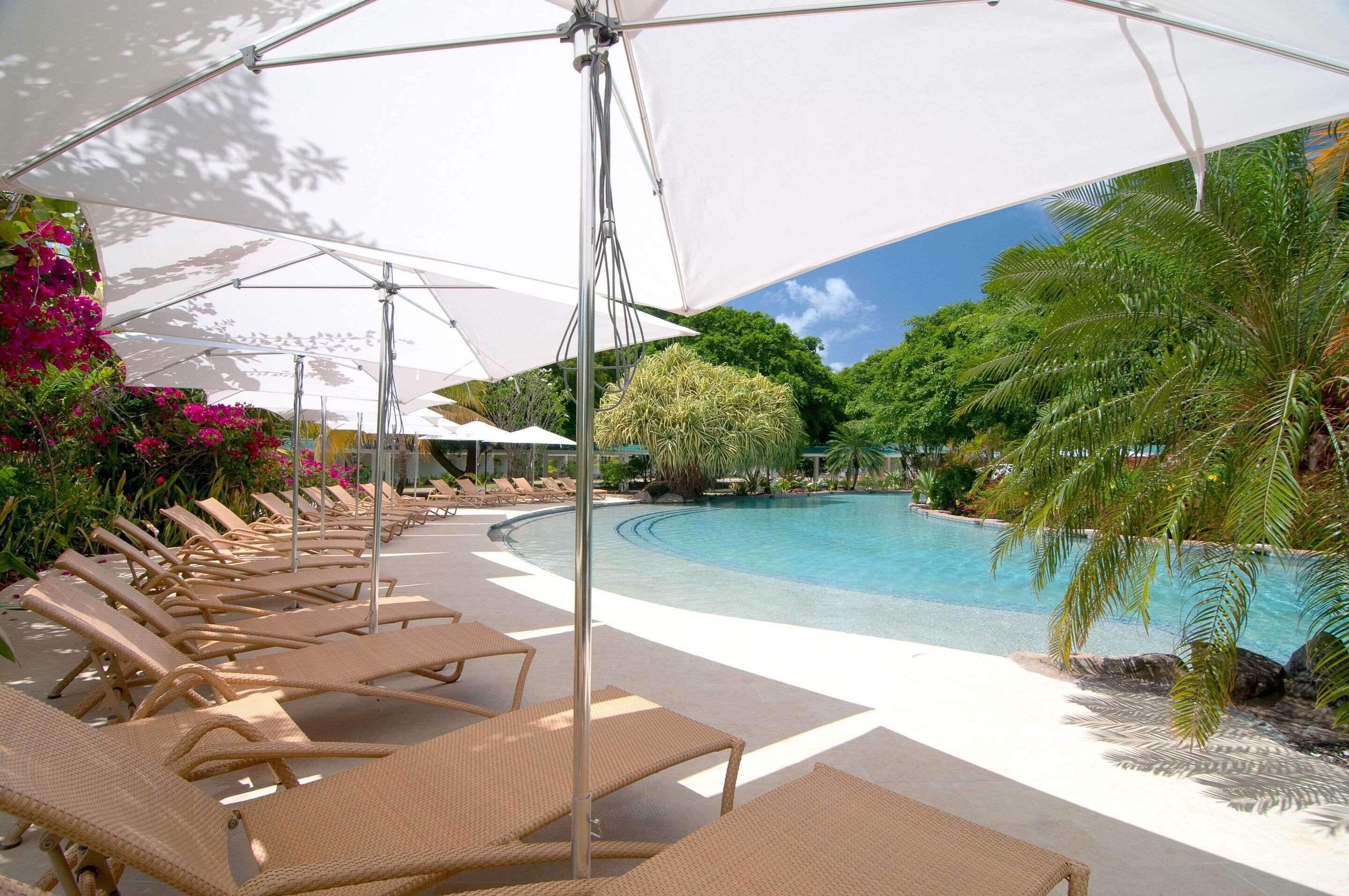 Un área junto a la piscina con sillones de descanso y sombrillas, rodeada de exuberante vegetación y una piscina azul cristalina.