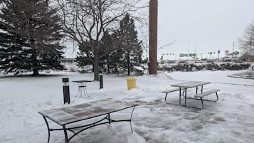 BBQ/picnic Area