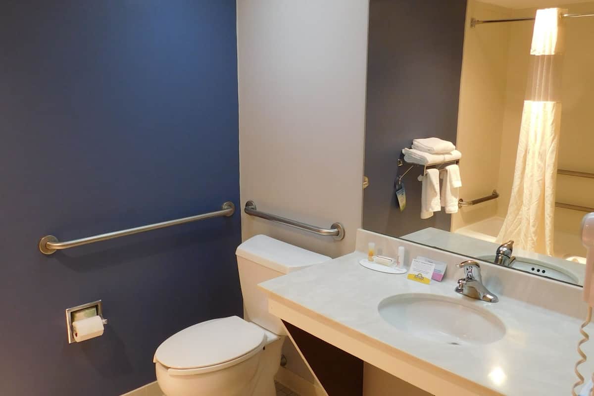 combined shower/bathtub, free toiletries, hair dryer, towels