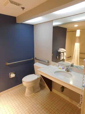 Combined shower/bathtub, free toiletries, hair dryer, towels