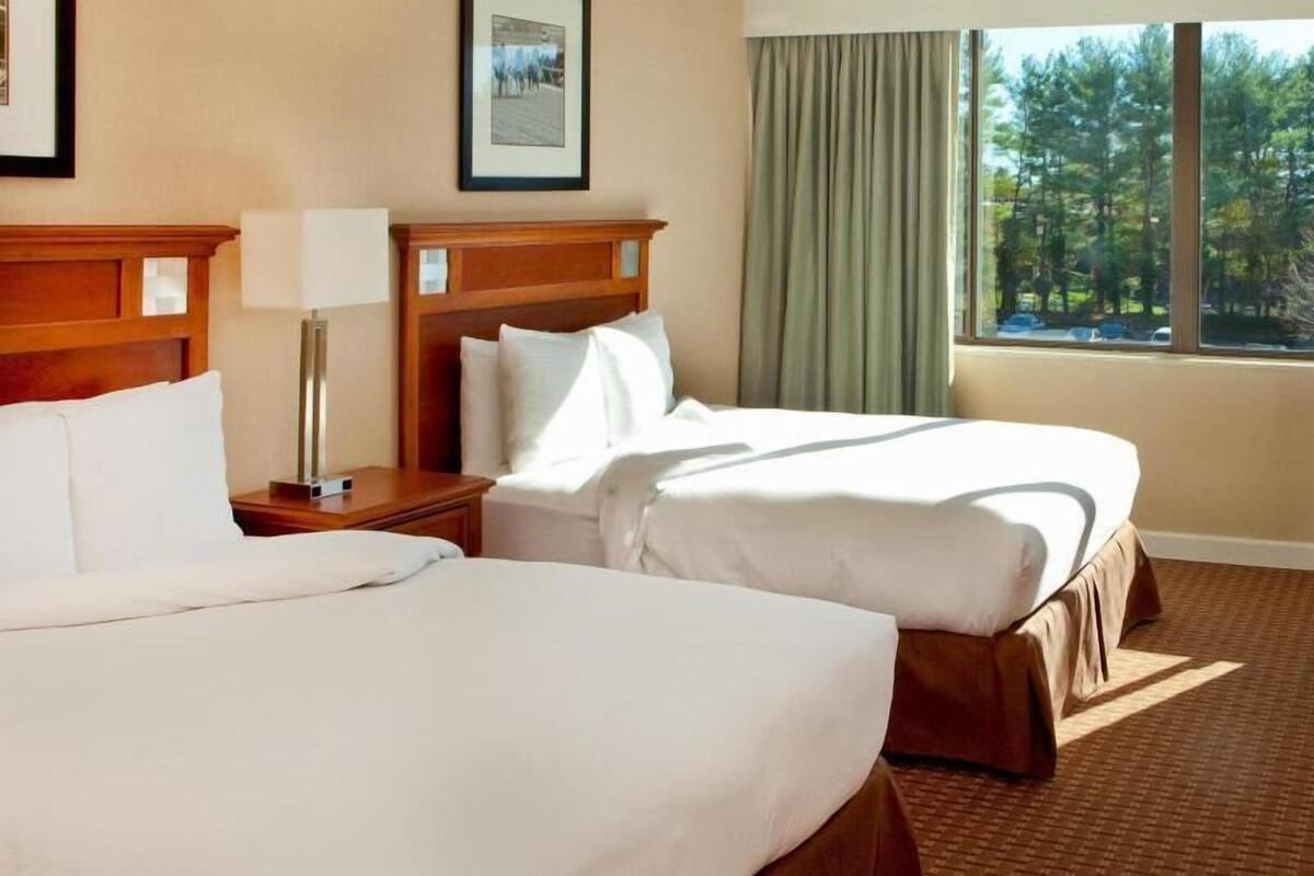A hotel room with two beds, a nightstand, a lamp, a framed picture on the wall, and a window with a view of trees.