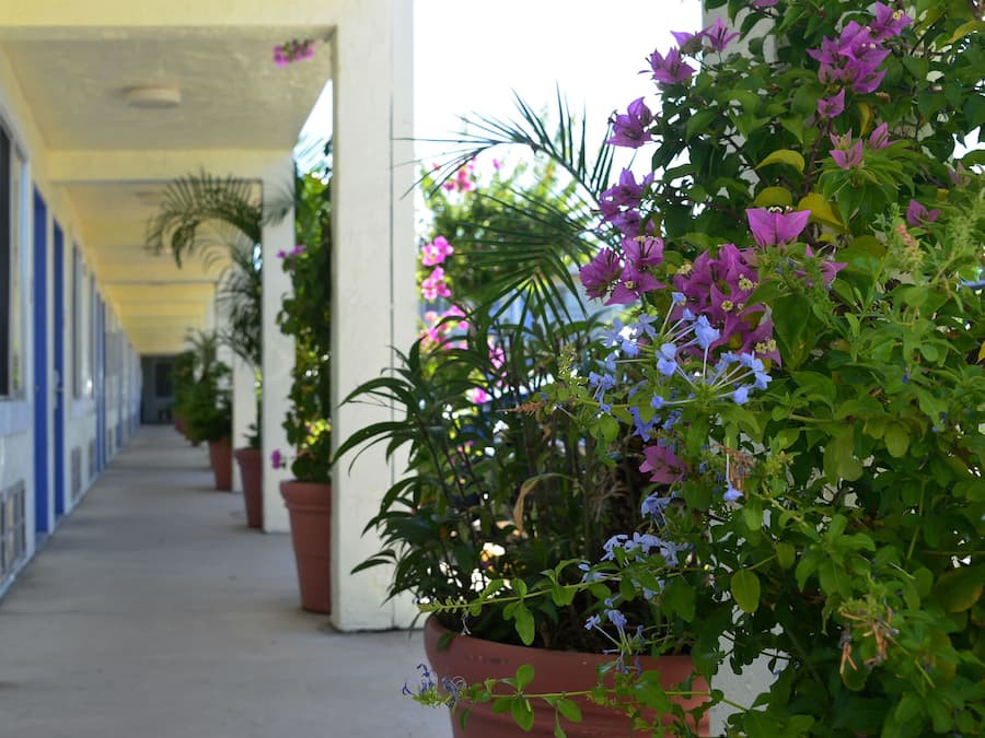 Laptop workspace, iron/ironing board, free WiFi, bed sheets