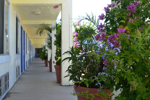 Habitación, 1 cama Queen size, para no fumadores | Espacio para trabajar con laptop y tabla de planchar con plancha