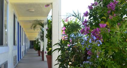 Americas Best Value Inn Bradenton Sarasota