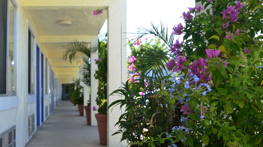 Americas Best Value Inn Bradenton Sarasota