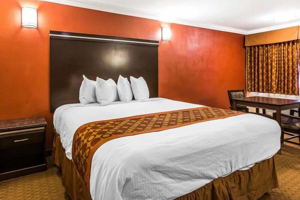 Habitación de hotel con una cama grande, una mesita de noche de madera, un escritorio y una manta decorativa.