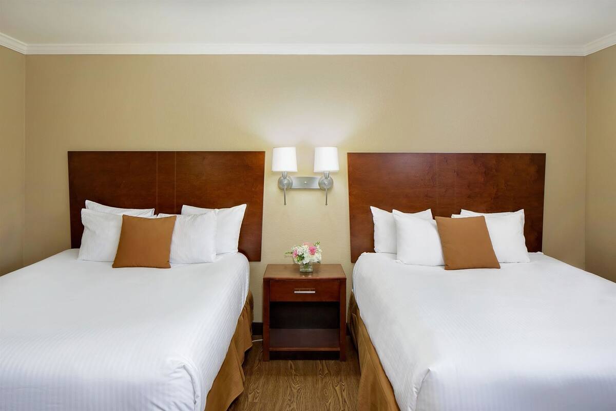 Habitación de hotel con dos camas, una mesita de noche con lámpara y una pequeña mesa con un florero.