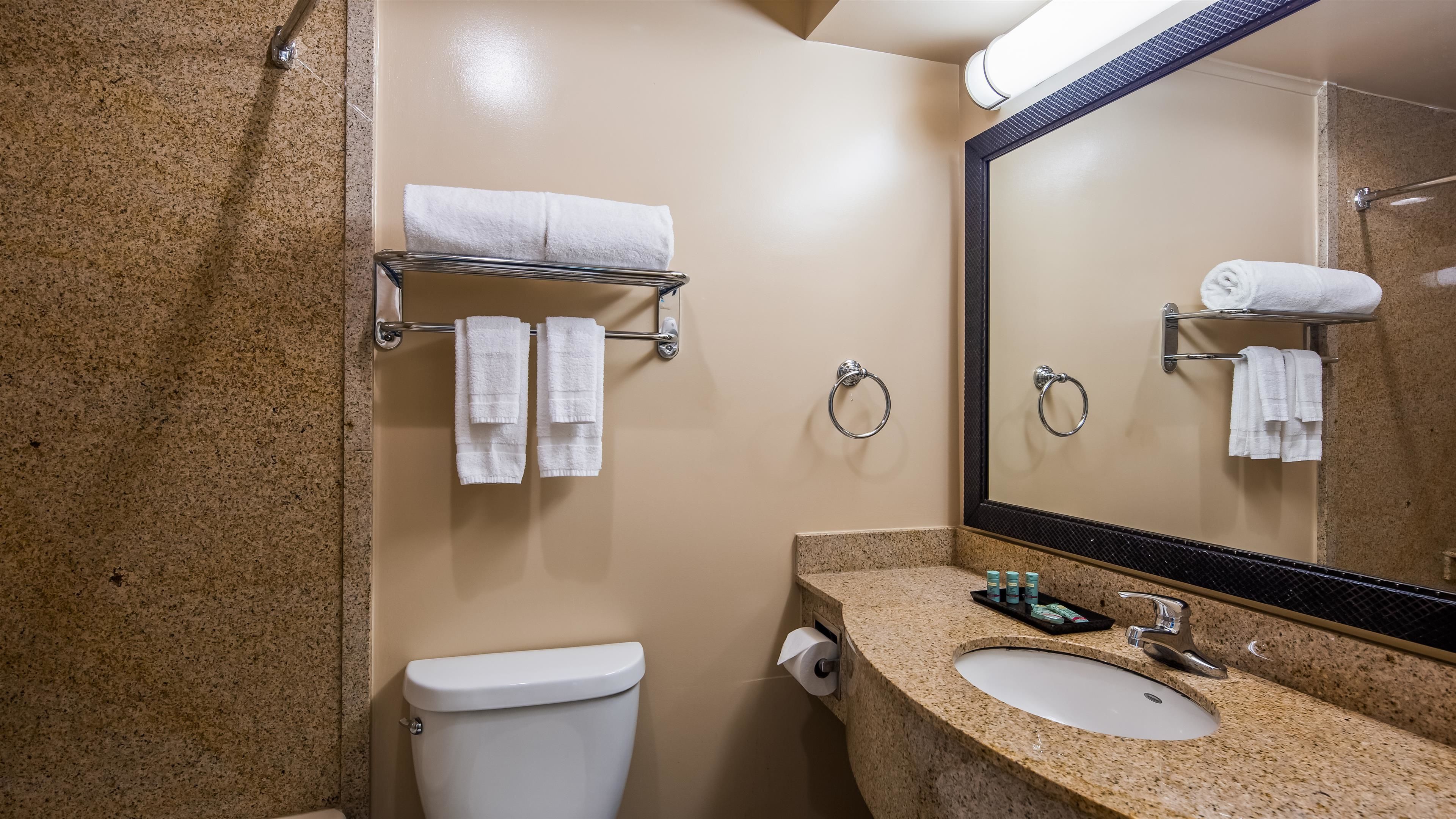 Een badkamer met toilet, wastafel en handdoekrek.