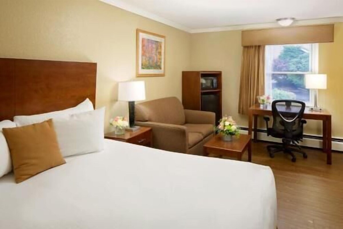 Habitación de hotel con una cama grande, un escritorio con silla, un sofá, una mesita de noche con lámpara y una ventana con cortinas.