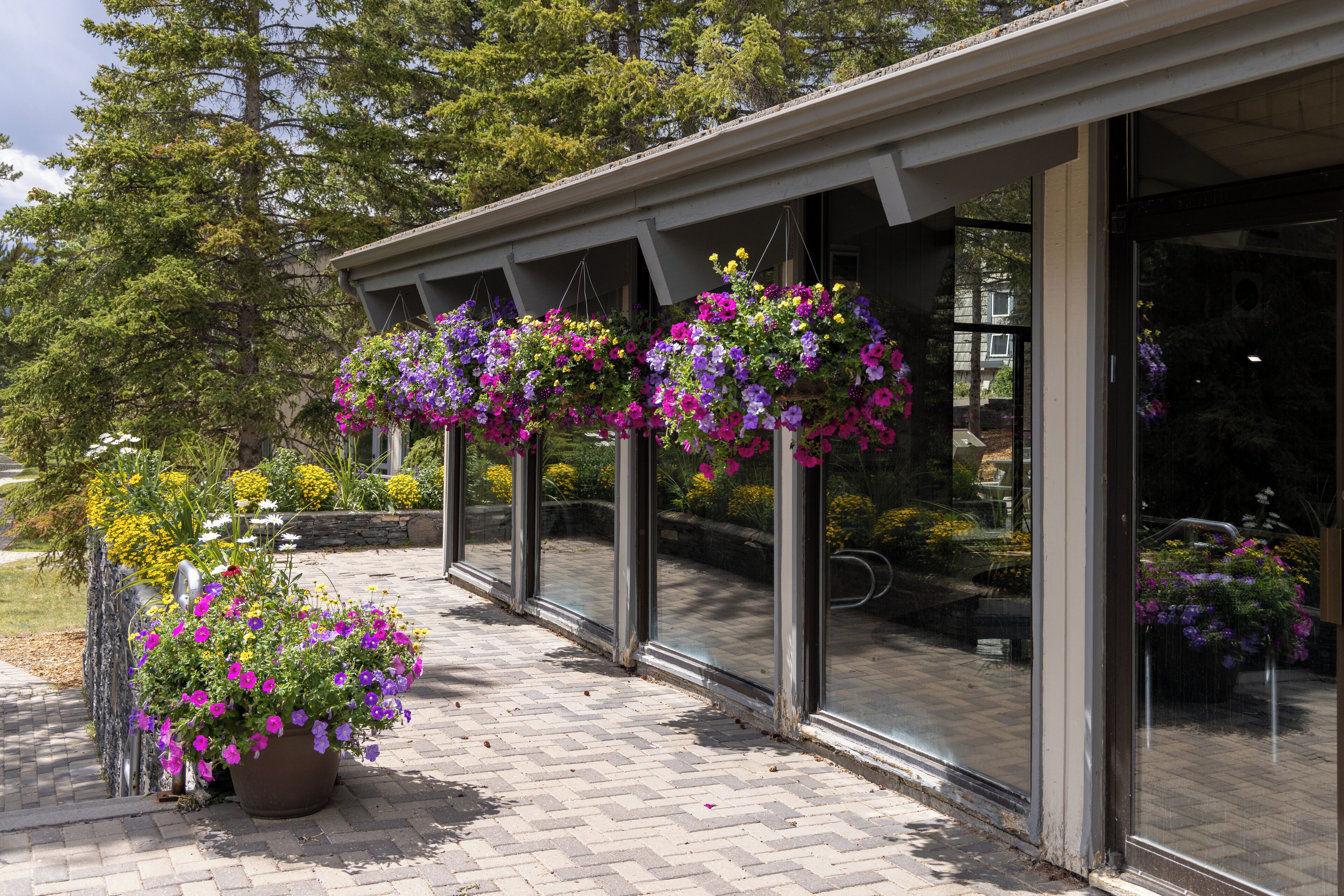 Khuôn viên nơi lưu trú