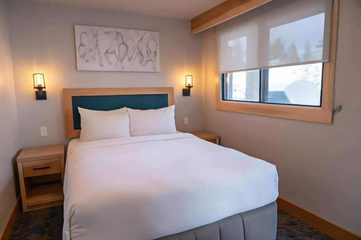 Ropa de cama hipoalergénica y cortinas opacas