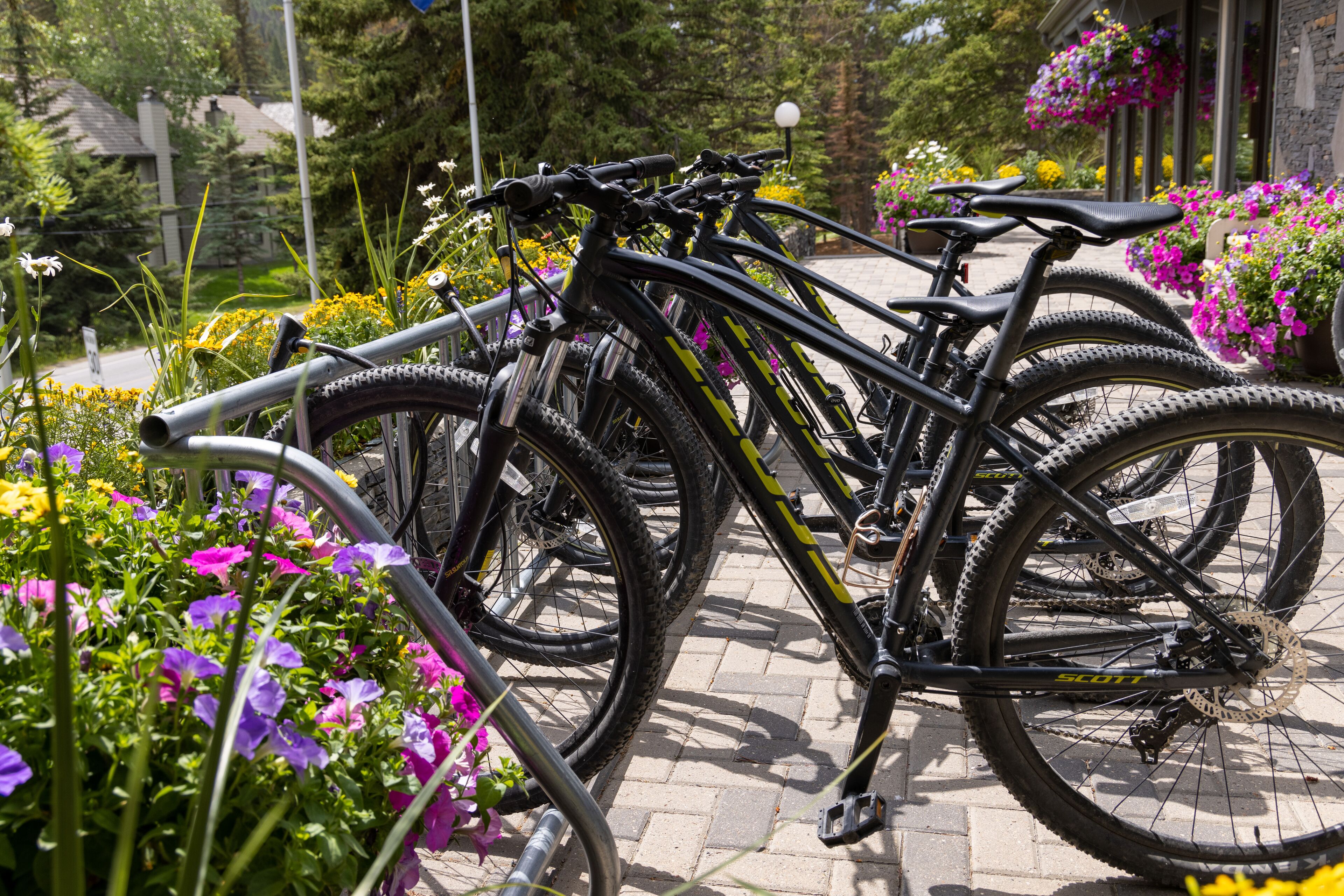 Una hilera de bicicletas estacionadas en un área pavimentada, con flores y follaje al fondo.