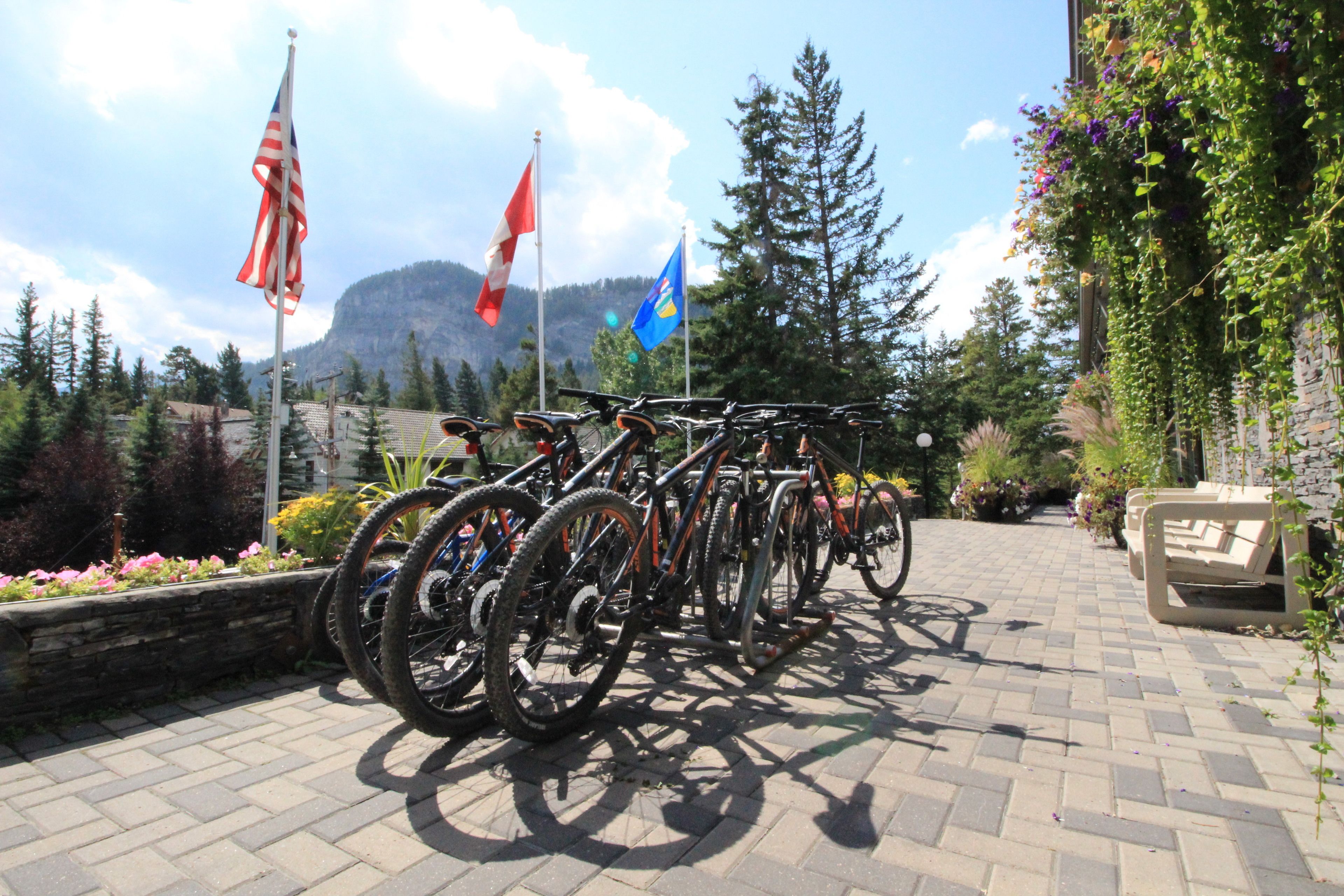 Foto - Tunnel Mountain Resort