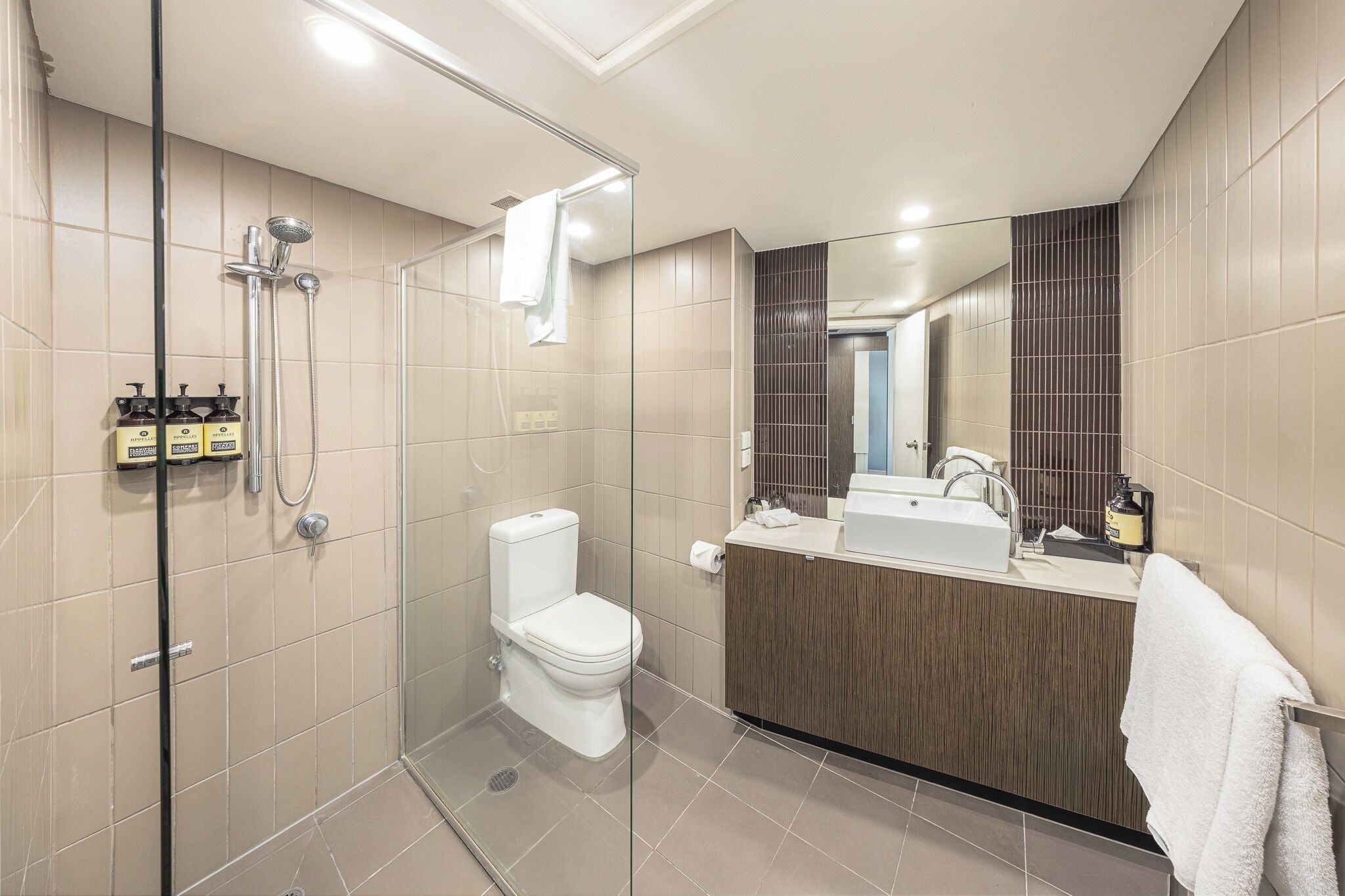 A modern bathroom with a glass-enclosed shower, a toilet, a sink, and a mirror.