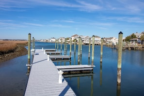 Muelle