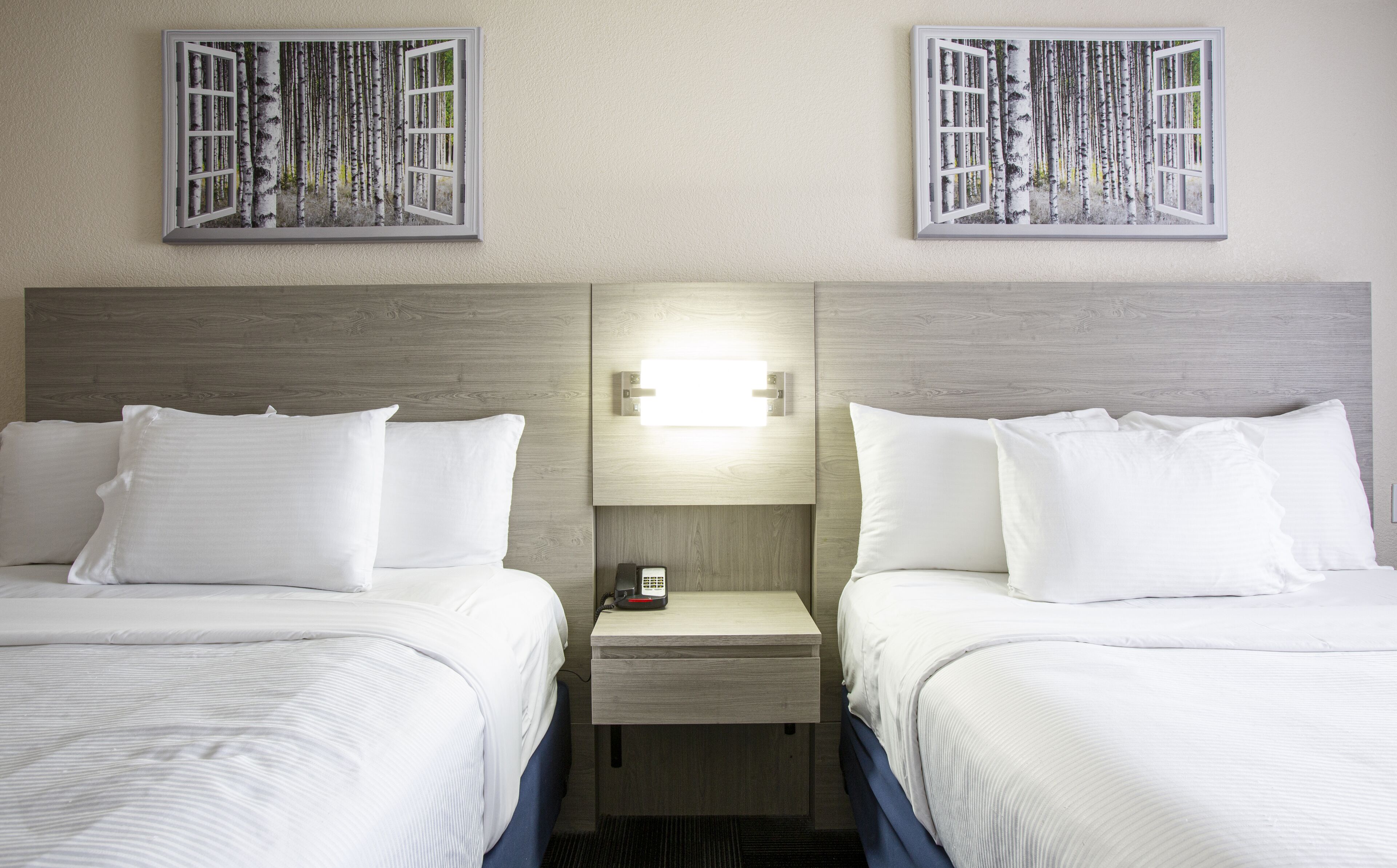 Une chambre d’hôtel avec deux lits, une table de chevet avec un téléphone et une lampe, et deux tableaux représentant des arbres, accrochés au mur.