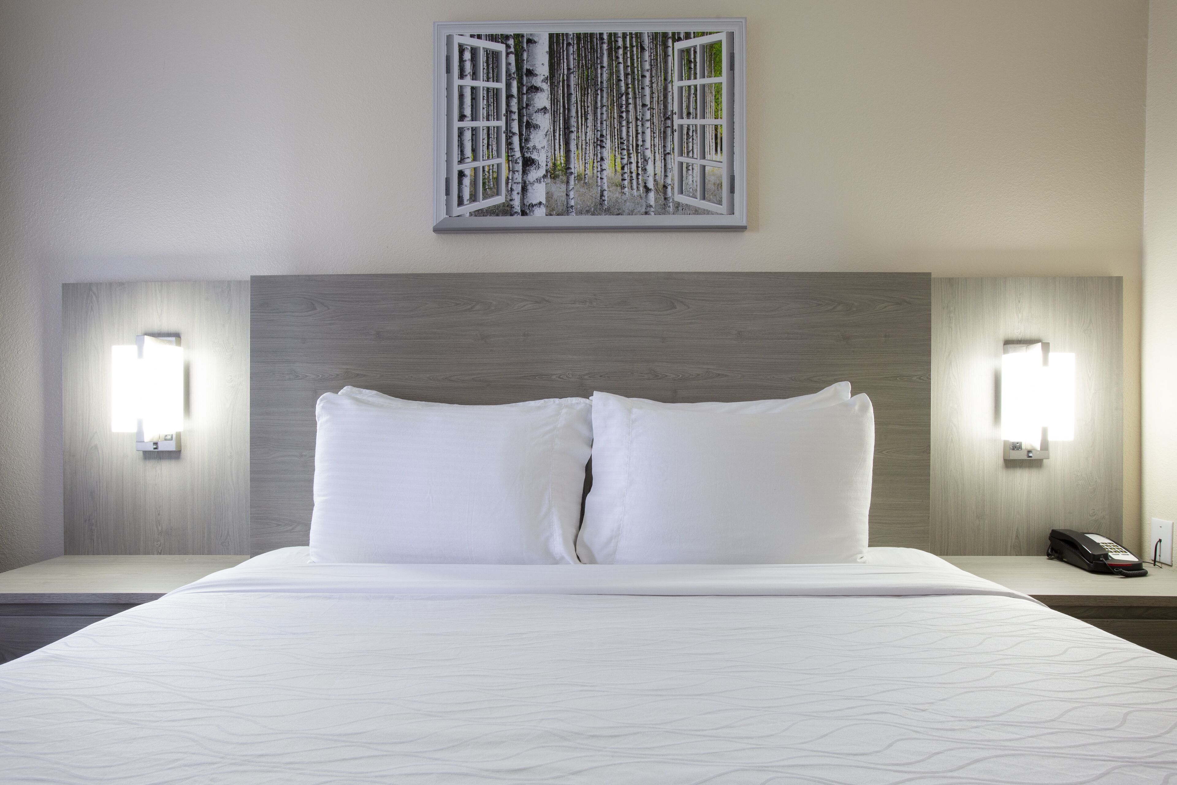Una habitación de hotel con una cama grande, dos lámparas de noche, un teléfono y un cuadro con árboles de abedul en la pared.