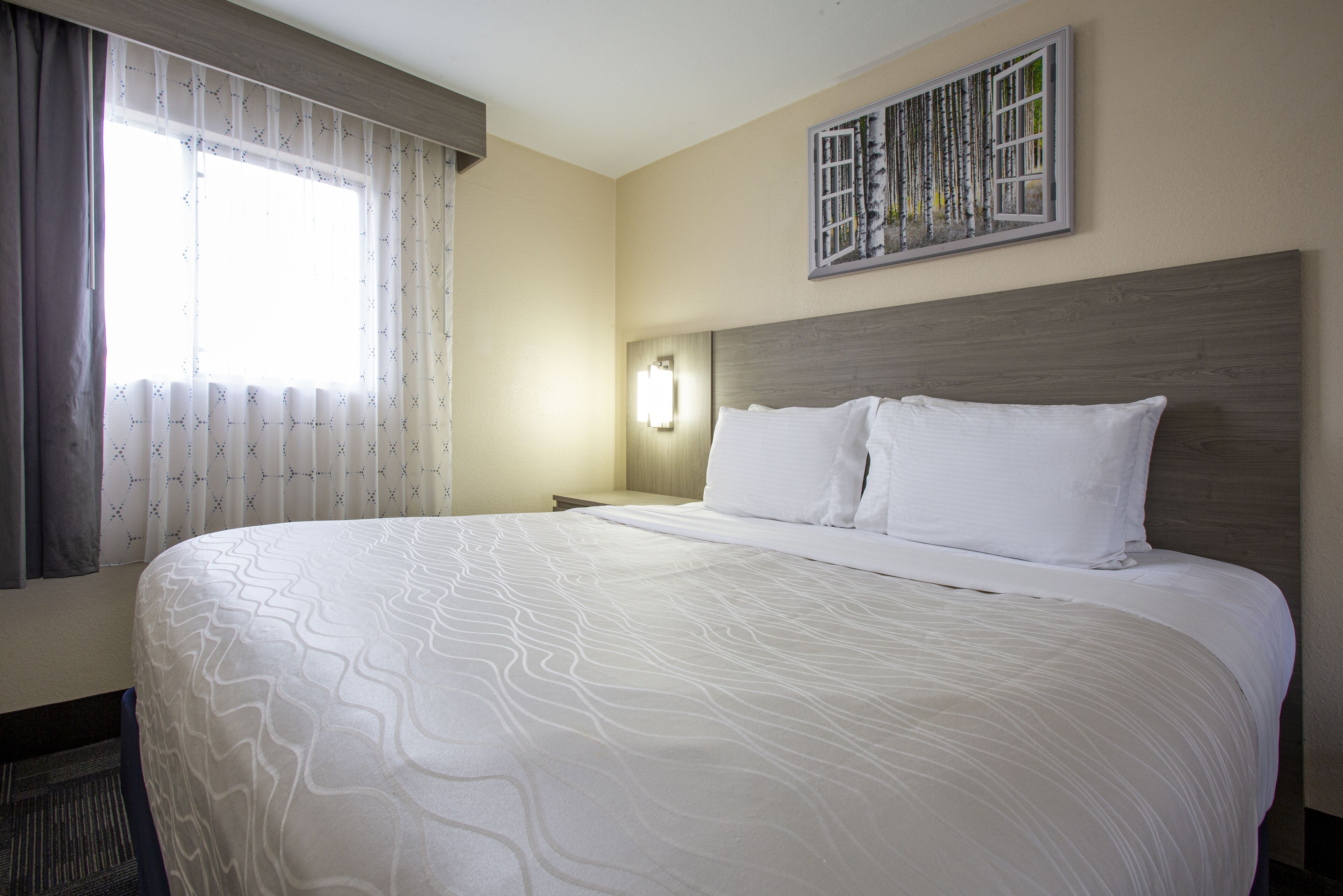 A hotel room with a large bed, a nightstand, a wall-mounted lamp, and a window with curtains.