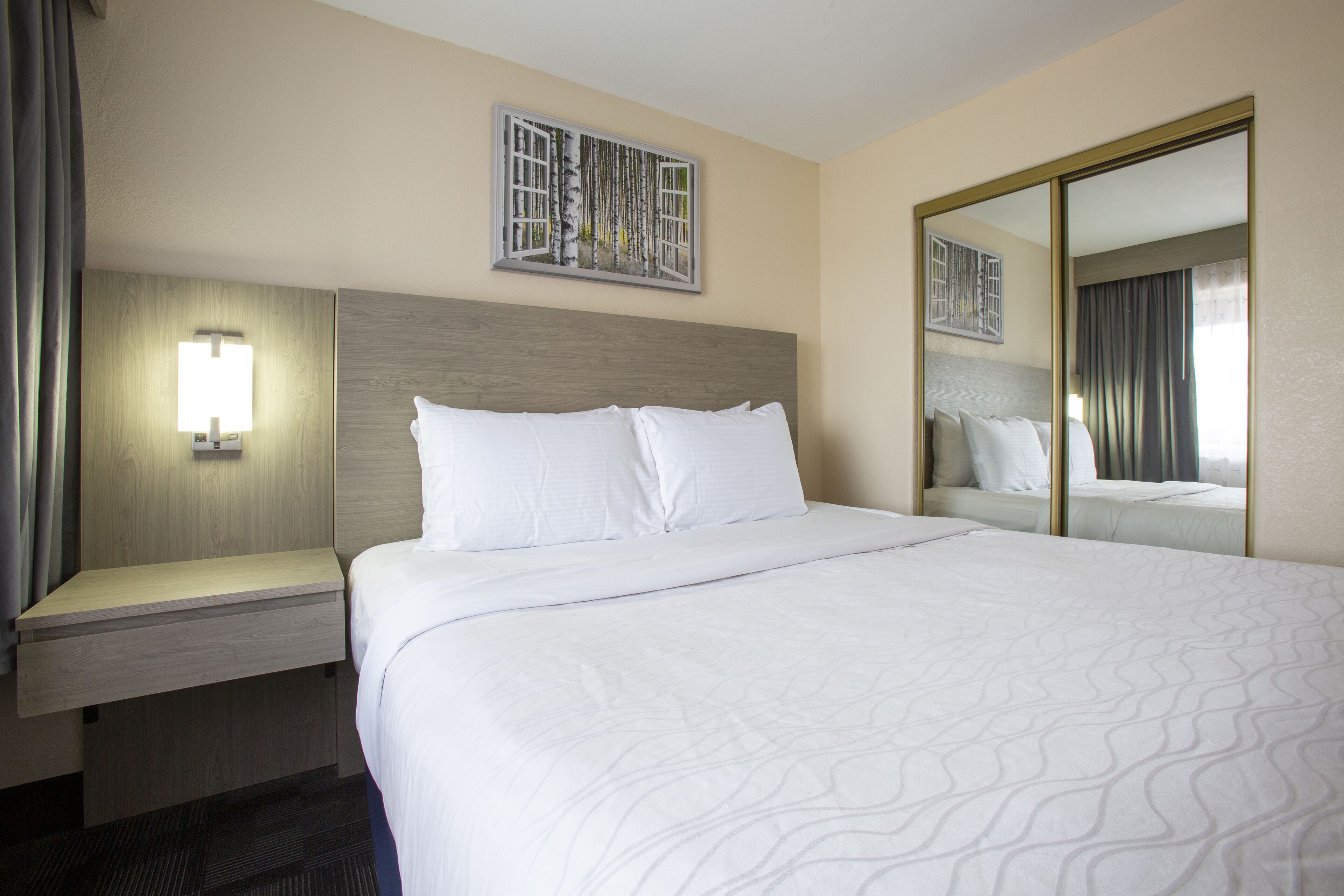 A hotel room with a large bed, a nightstand with a lamp, a wall-mounted artwork, and a mirror.