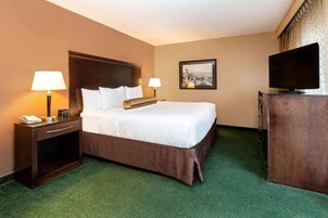 A hotel room with a large bed, two bedside lamps, a flat-screen TV on a wooden cabinet, and a framed cityscape picture on the wall.