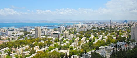 A cityscape with dense residential buildings, a marina, and a distant coastline.