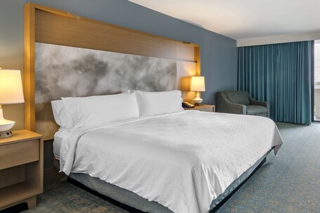 Holiday Inn Orlando Disney Springs Area, an IHG Hotel - Image 22