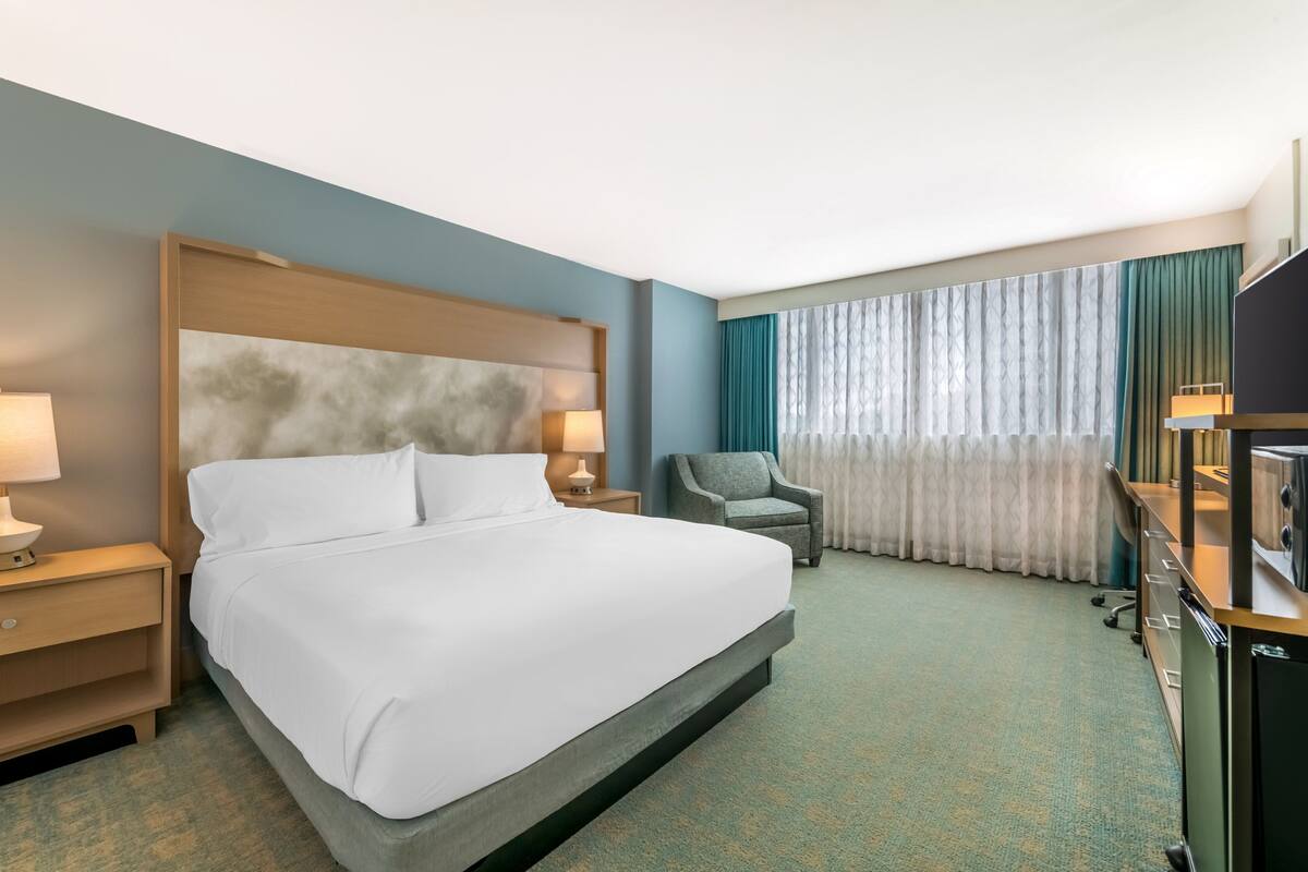 standard room, 1 king bed | premium bedding, pillow-top beds, in-room safe, individually furnished