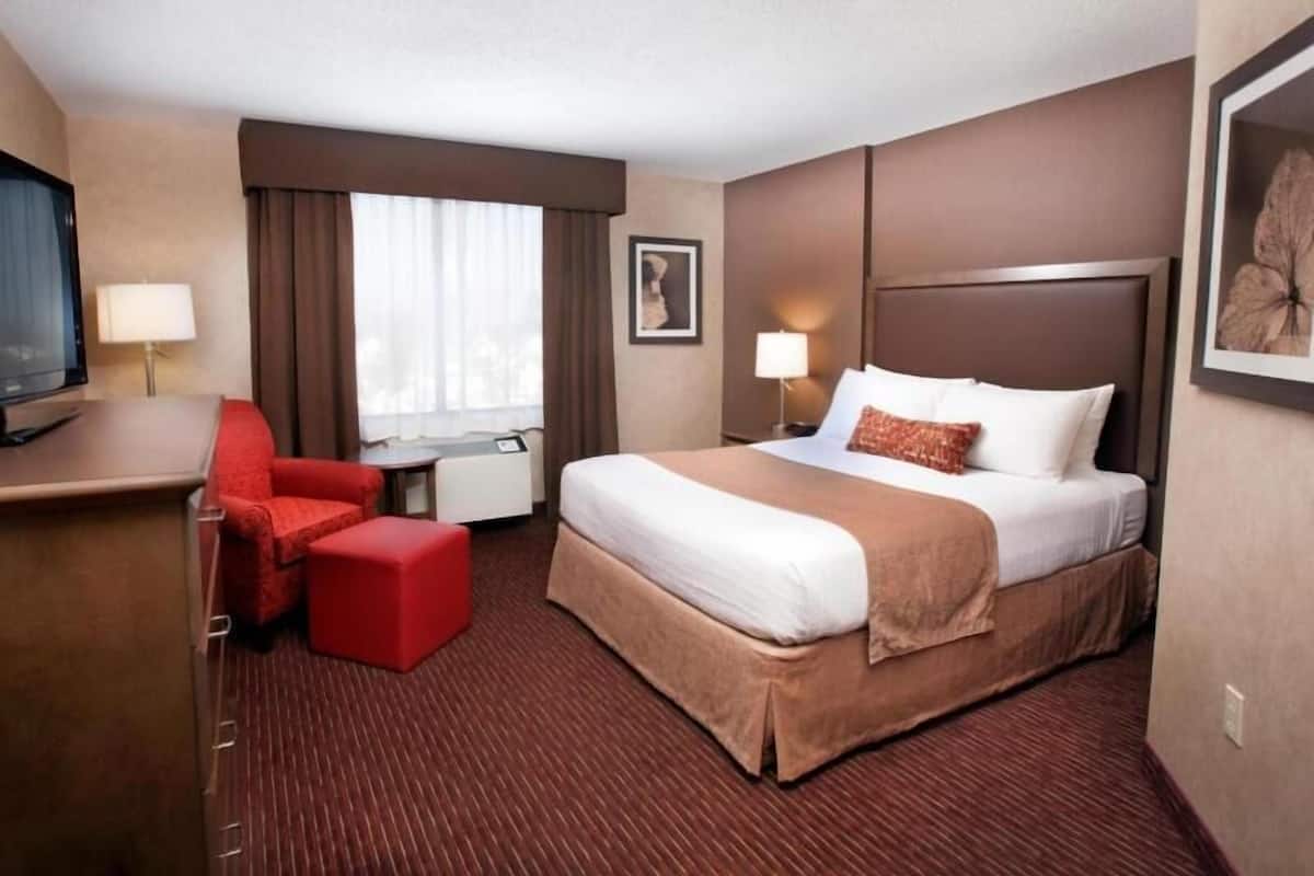 Rideaux dâobscurcissement, fer et planche Ă repasser