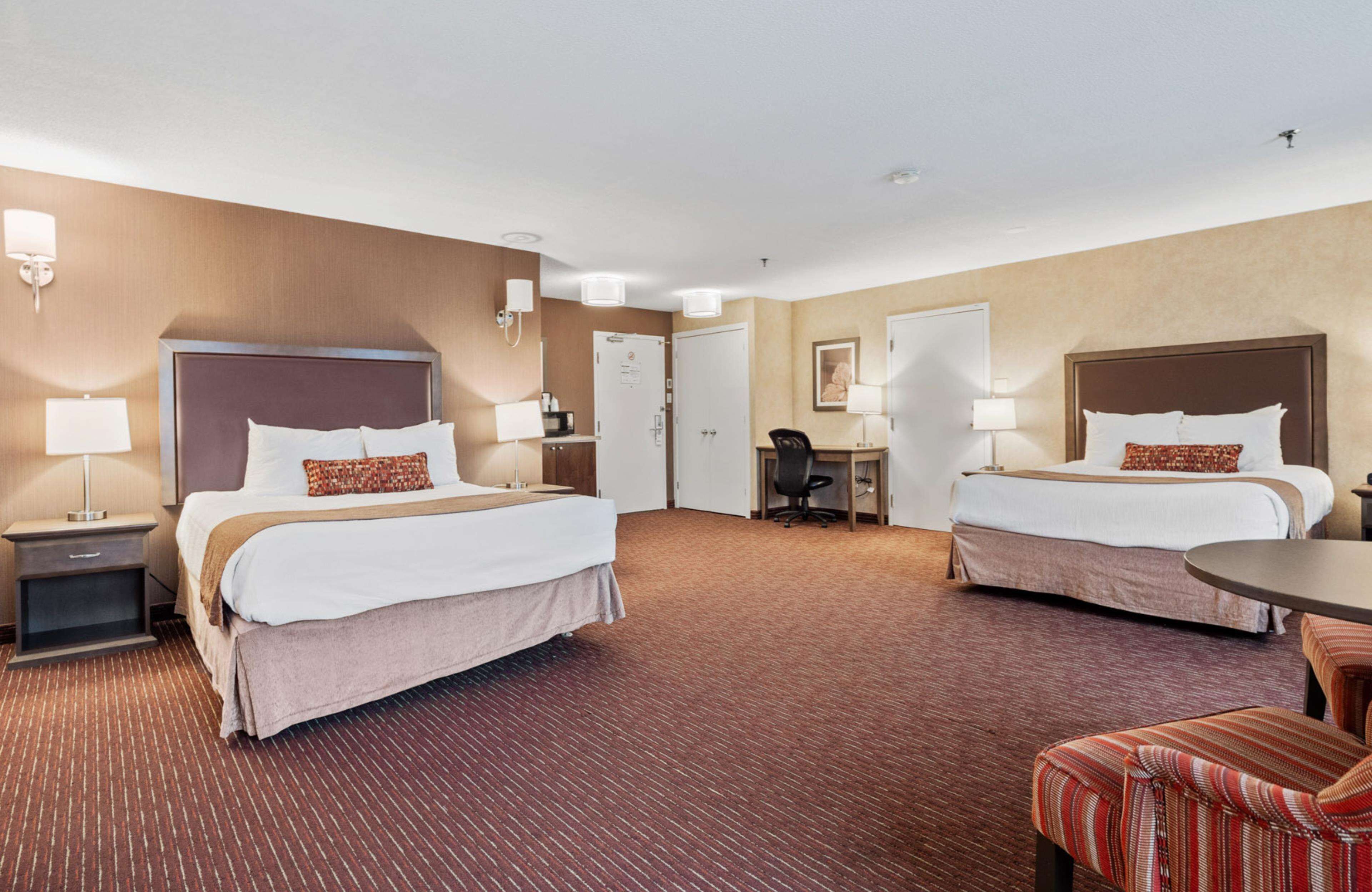 Habitación estándar, 2 camas Queen size, para no fumadores (Oversized Room) | Cortinas blackout, tabla de planchar con plancha y camas extra 