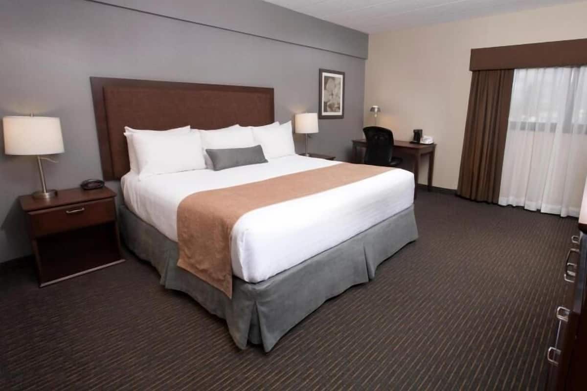 Rideaux dâobscurcissement, fer et planche Ă repasser