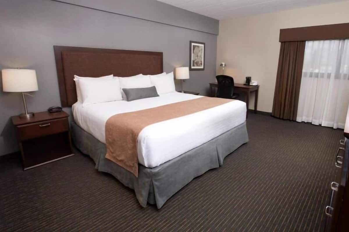 Rideaux dâobscurcissement, fer et planche Ă repasser