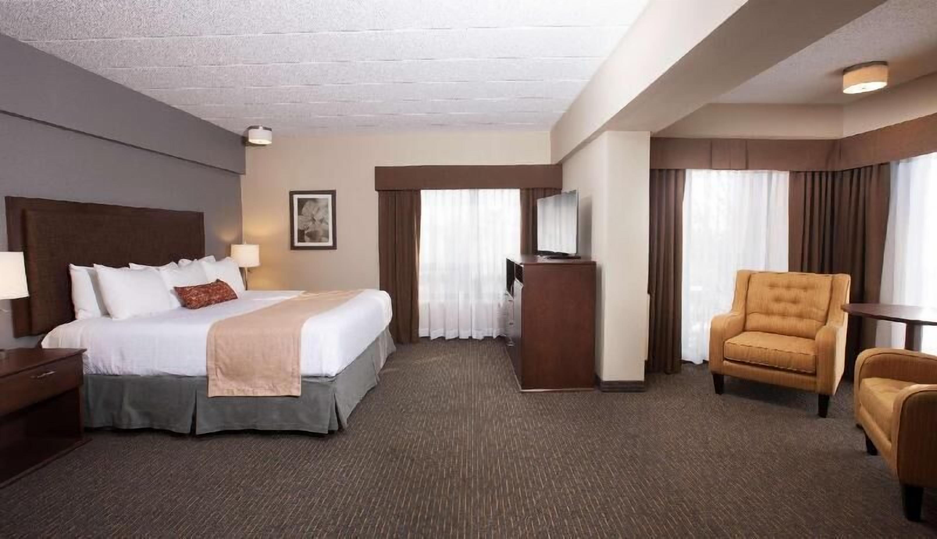 Blackout curtains, iron/ironing board, rollaway beds, free WiFi