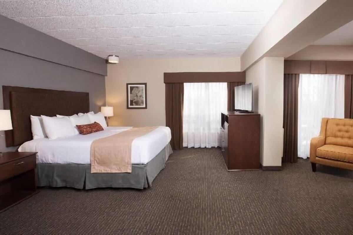 A hotel room with a large bed, a desk, a chair, a television, and a framed picture on the wall.
