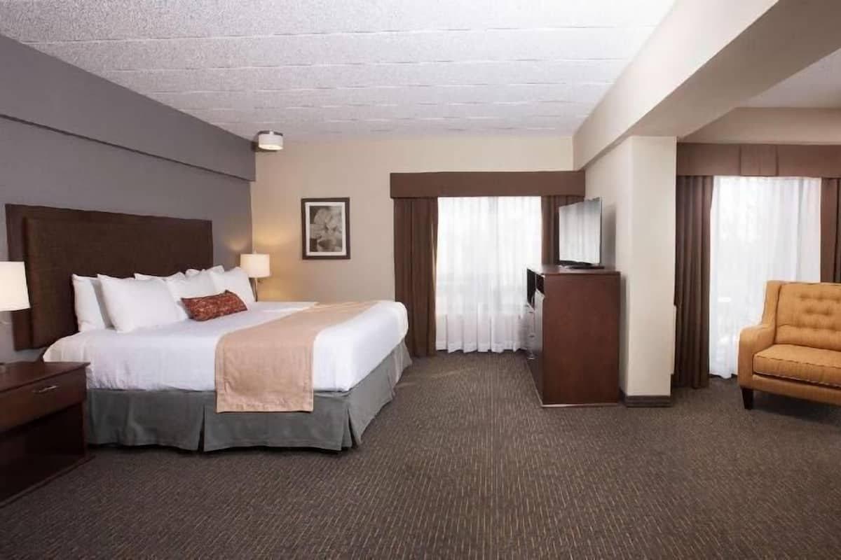 Rideaux dâobscurcissement, fer et planche Ă repasser