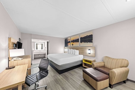 Desk, iron/ironing board, free WiFi, bed sheets. Days Inn by Wyndham Gainesville