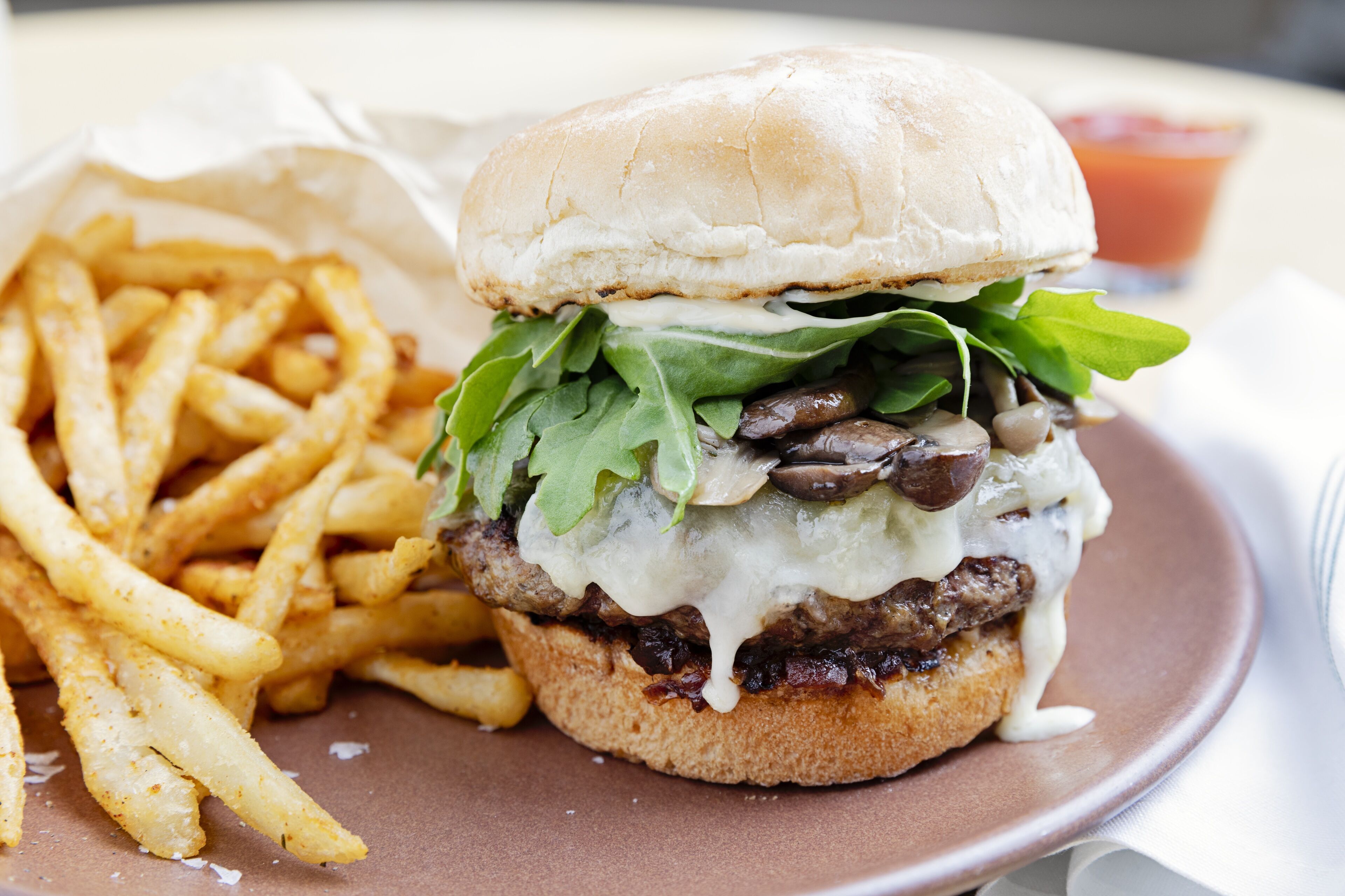 A burger with fries on a plate.
