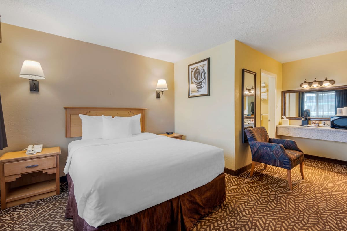 Standard Room, 1 Queen Bed, Non Smoking, Refrigerator | Desk, iron/ironing board, cribs/infant beds, rollaway beds