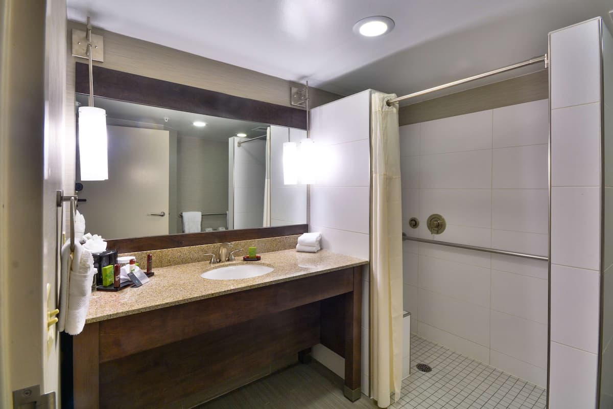 combined shower/bathtub, designer toiletries, hair dryer, towels