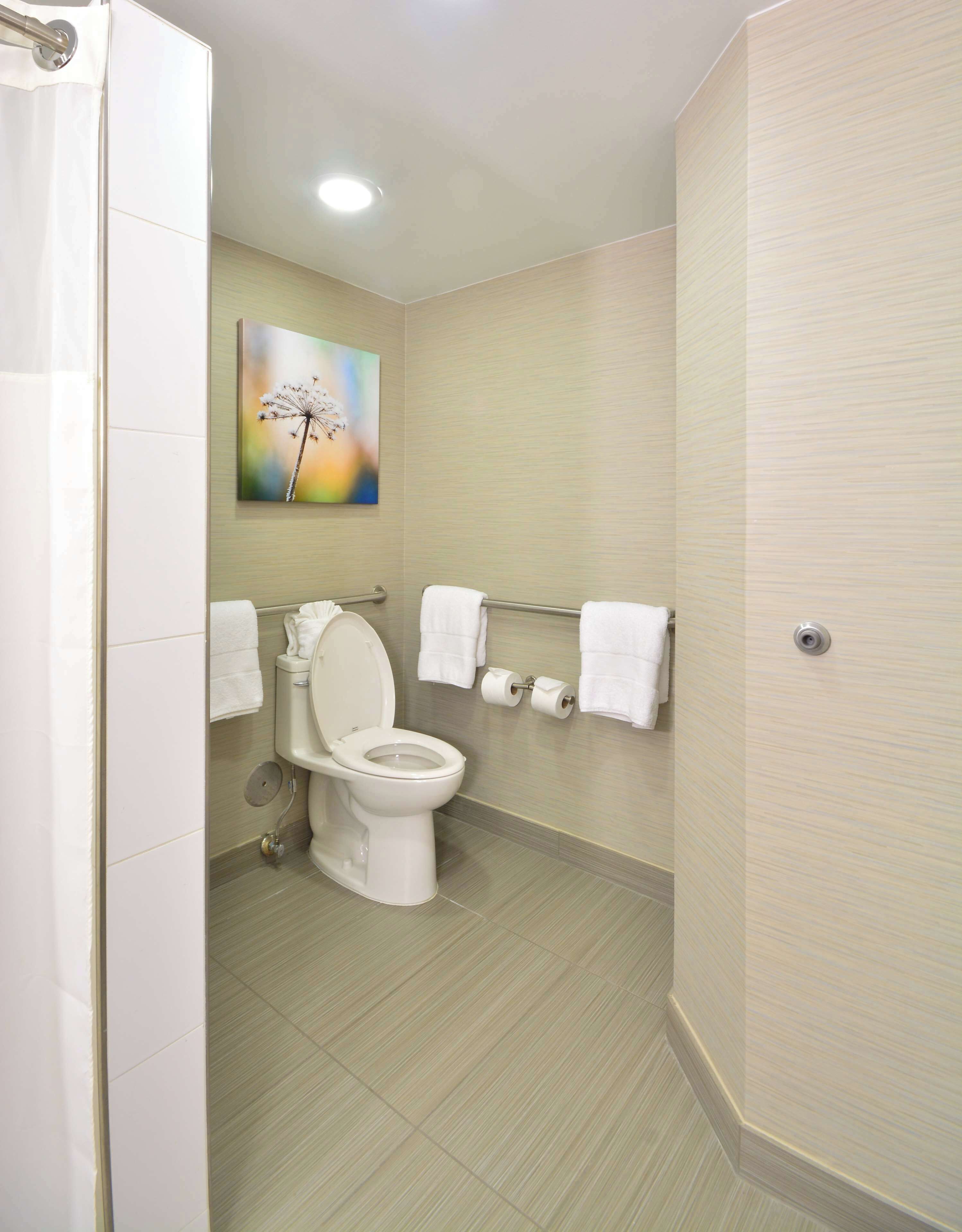 basic suite, 1 king bed, accessible, bathtub (mobility & hearing) | bathroom | combined shower/bathtub, designer toiletries, hair dryer, towels