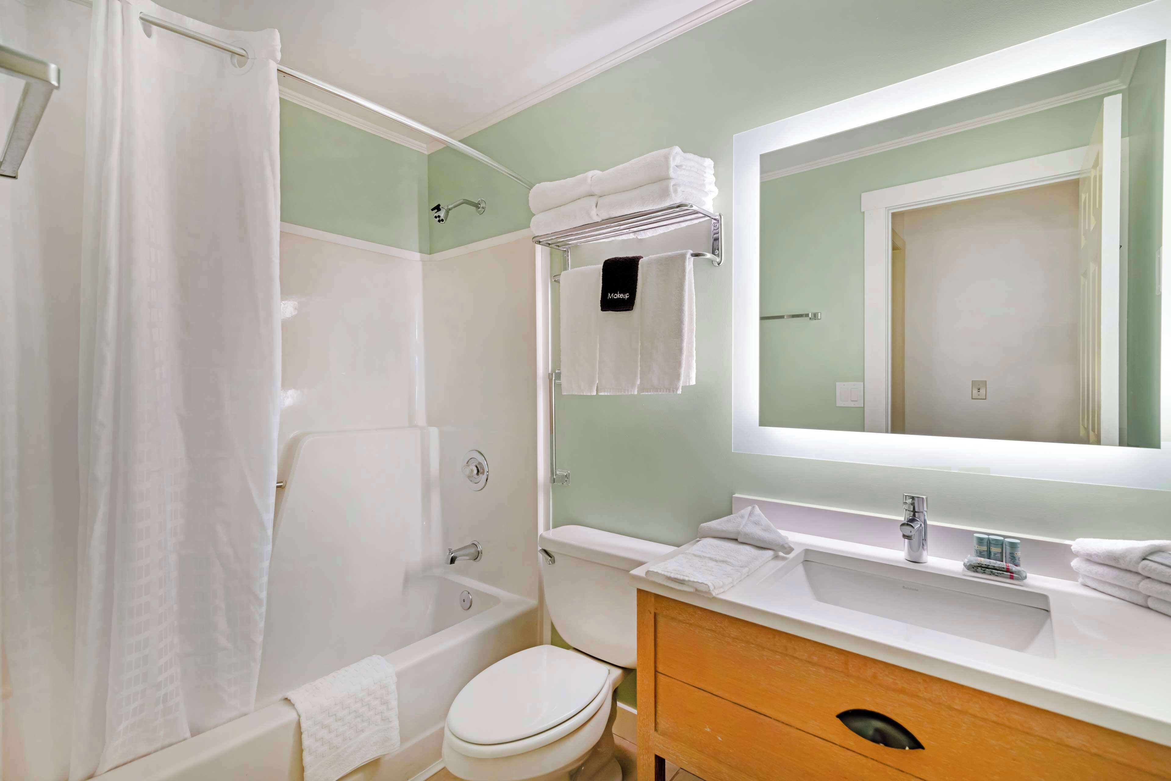 combined shower/bathtub, free toiletries, hair dryer, towels