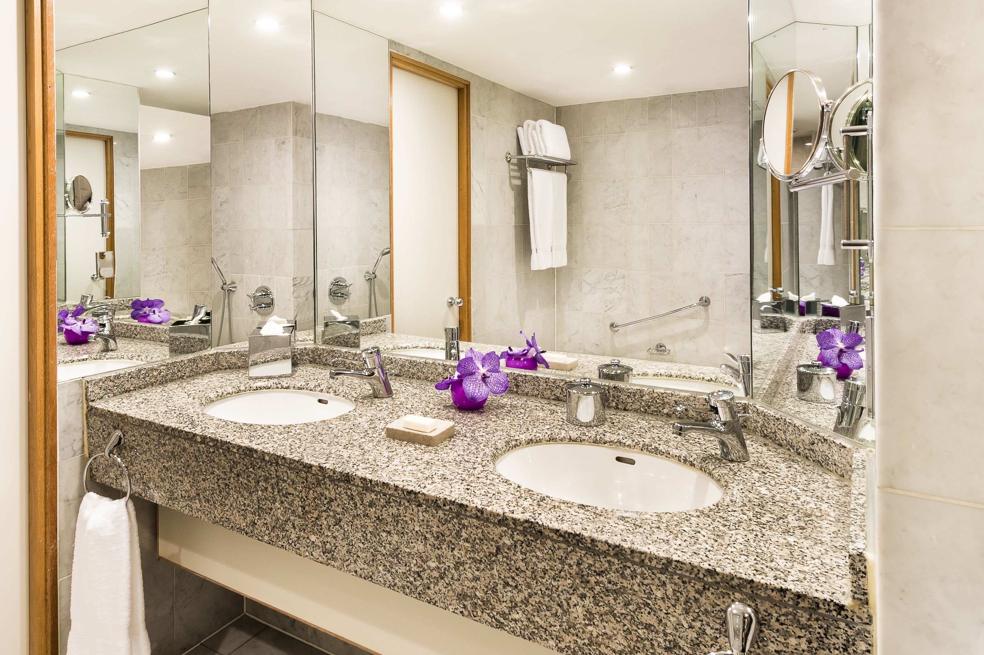 A modern bathroom with two sinks, a large mirror, and a towel rack.